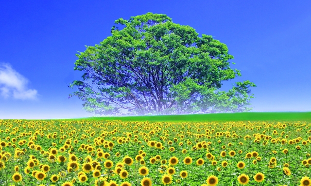 岸優太の魅力・性格まとめ！愛され天然と言われる理由を深掘りのイメージ画像