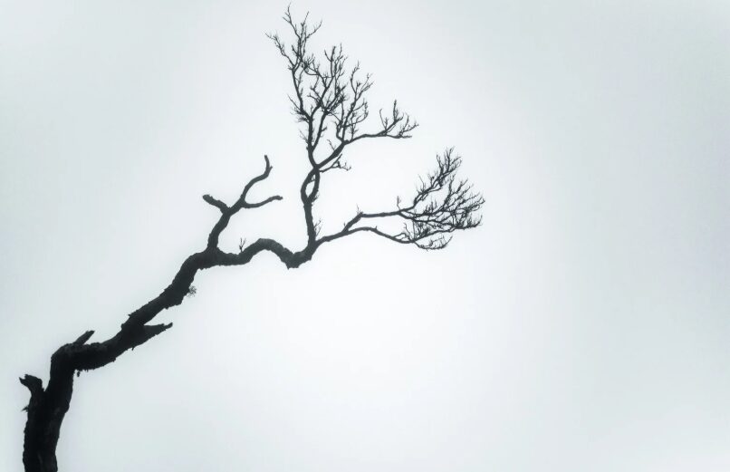 “説明できなかった期間”が生んだ分岐の可能性のイメージ画像